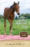 Southern Belle's Special Gift cover