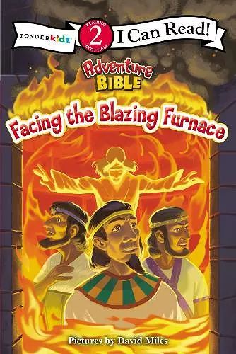 Facing the Blazing Furnace cover