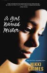 A Girl Named Mister cover