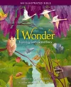 I Wonder: Exploring God's Grand Story cover