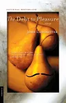 Debt to Pleasure cover