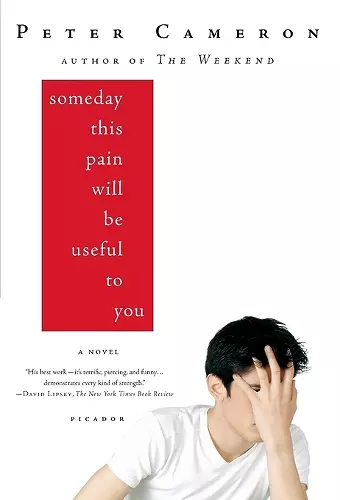 SOMEDAY THIS PAIN WILL BE USEFUL FOR YOU cover