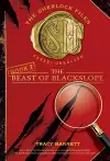 The Beast of Blackslope cover