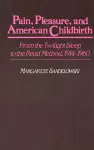 Pain, Pleasure, and American Childbirth cover