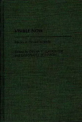 Visible Now cover