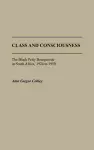 Class and Consciousness cover