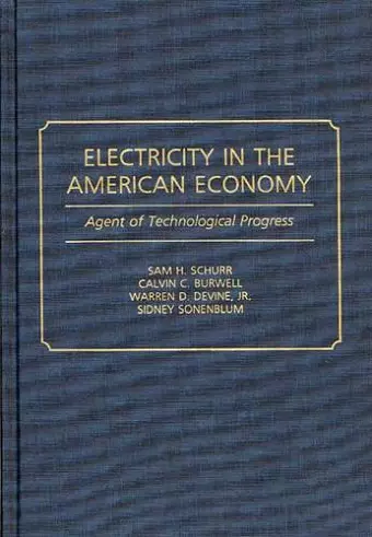 Electricity in the American Economy cover