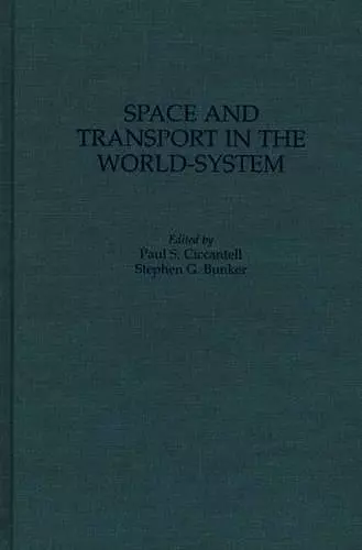 Space and Transport in the World-System cover