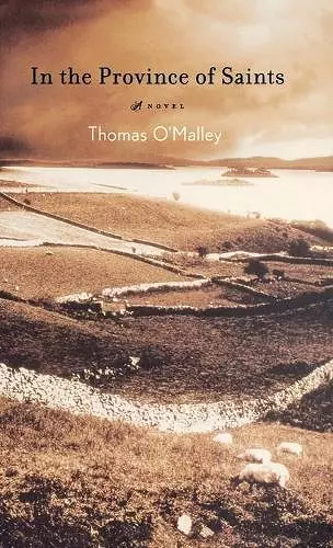 In The Province Of Saints cover