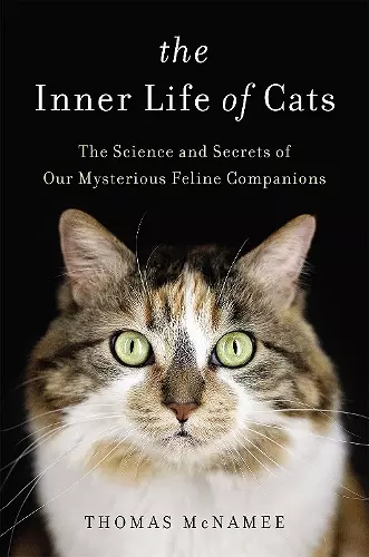 The Inner Life of Cats cover