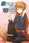 Spice and Wolf, Vol. 11 (light novel) cover