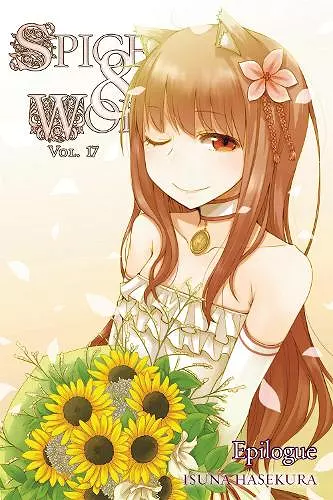 Spice and Wolf, Vol. 17 - Novel cover