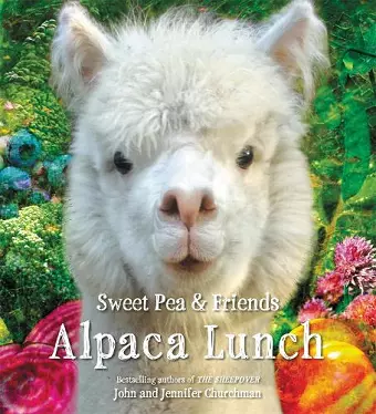 Alpaca Lunch cover