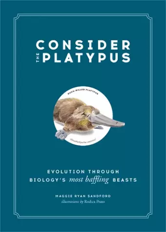Consider the Platypus cover