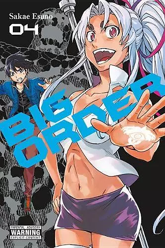 Big Order, Vol. 4 cover