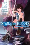 Strike the Blood, Vol. 12 (light novel) cover