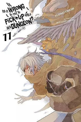 Is It Wrong to Try to Pick Up Girls in a Dungeon?, Vol. 11 (light novel) cover