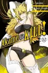 Akame ga KILL!, Vol. 12 cover