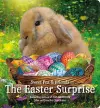 The Easter Surprise cover