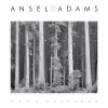 Ansel Adams 2024 Engagement Calendar cover