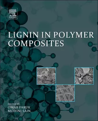 Lignin in Polymer Composites cover