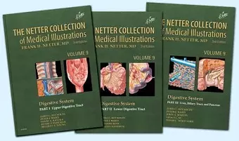 The Netter Collection of Medical Illustrations: Digestive System Package cover