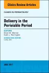 Delivery in the Periviable Period, An Issue of Clinics in Perinatology cover