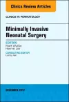 Minimally Invasive Neonatal Surgery, An Issue of Clinics in Perinatology cover