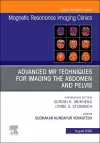 Advanced MR Techniques for Imaging the Abdomen and Pelvis, An Issue of Magnetic Resonance Imaging Clinics of North America cover