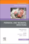 Perinatal and Neonatal Infections, An Issue of Clinics in Perinatology cover