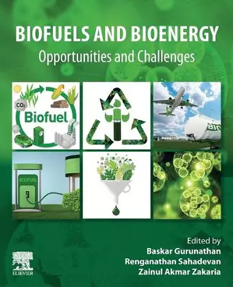 Biofuels and Bioenergy cover