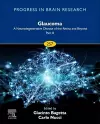 Glaucoma: A Neurodegenerative Disease of the Retina and Beyond Part B cover