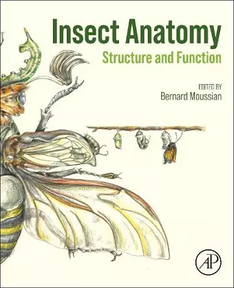 Insect Anatomy cover