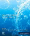 Nanotechnology in Fuel Cells cover