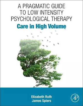 A Pragmatic Guide to Low Intensity Psychological Therapy cover