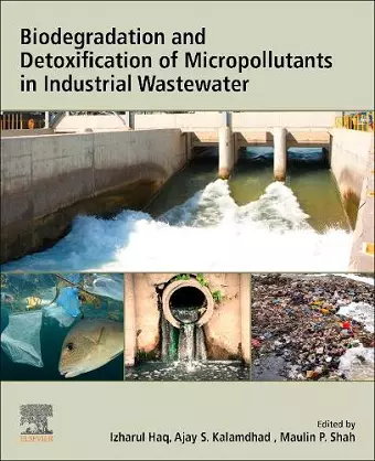 Biodegradation and Detoxification of Micropollutants in Industrial Wastewater cover