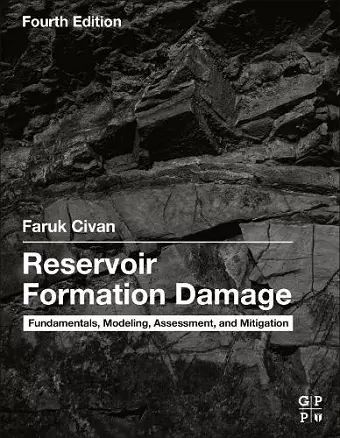 Reservoir Formation Damage cover