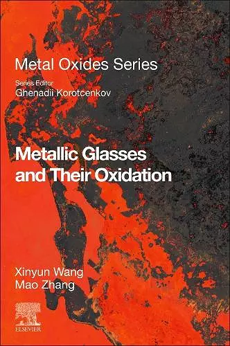 Metallic Glasses and Their Oxidation cover