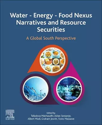 Water - Energy - Food Nexus Narratives and Resource Securities cover