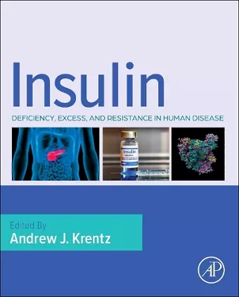 Insulin cover