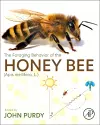 The Foraging Behavior of the Honey Bee (Apis mellifera, L.) cover