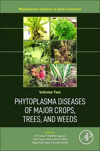 Phytoplasma Diseases of Major Crops, Trees, and Weeds cover