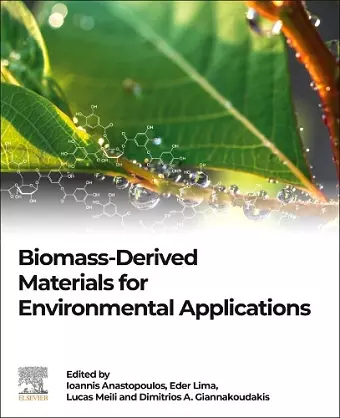 Biomass-Derived Materials for Environmental Applications cover