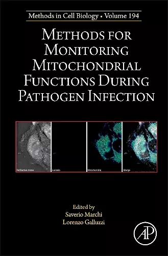 Methods for Monitoring Mitochondrial Functions During Pathogen Infection cover