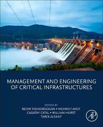 Management and Engineering of Critical Infrastructures cover