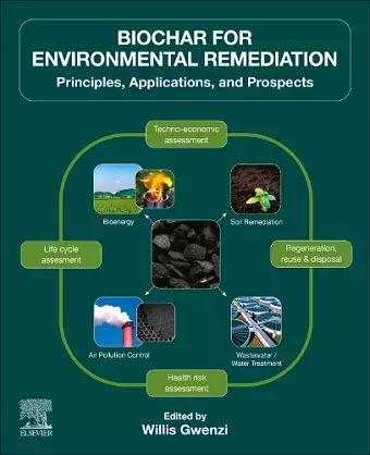 Biochar for Environmental Remediation cover