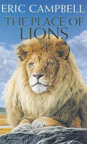 The Place of Lions cover