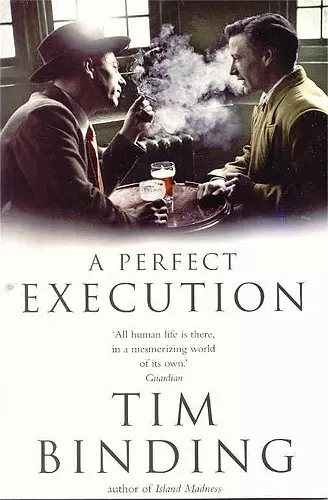 A Perfect Execution cover