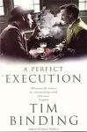 A Perfect Execution cover