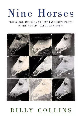 Nine Horses cover